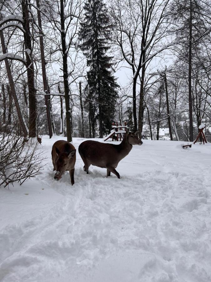 Nauczycielskie Centrum Zakopane Exteriör bild