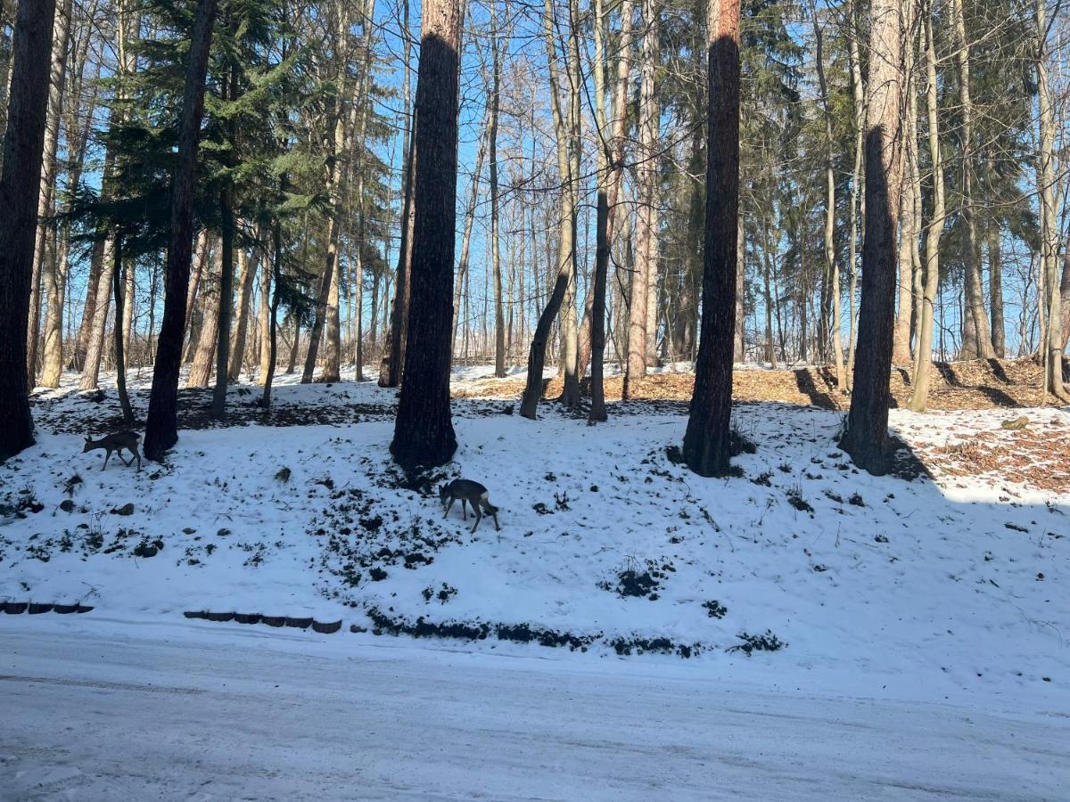 Nauczycielskie Centrum Zakopane Exteriör bild