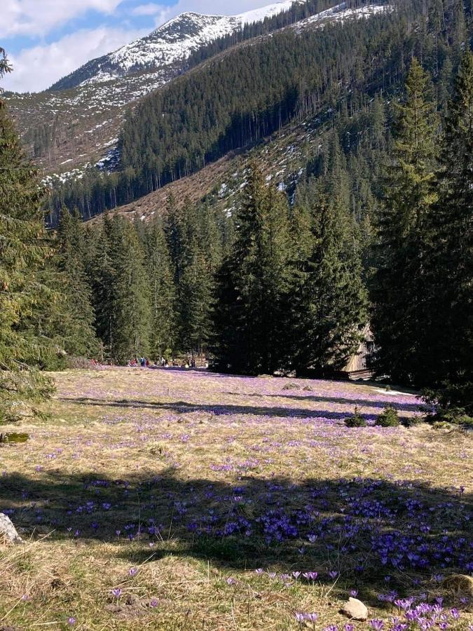 Nauczycielskie Centrum Zakopane Exteriör bild
