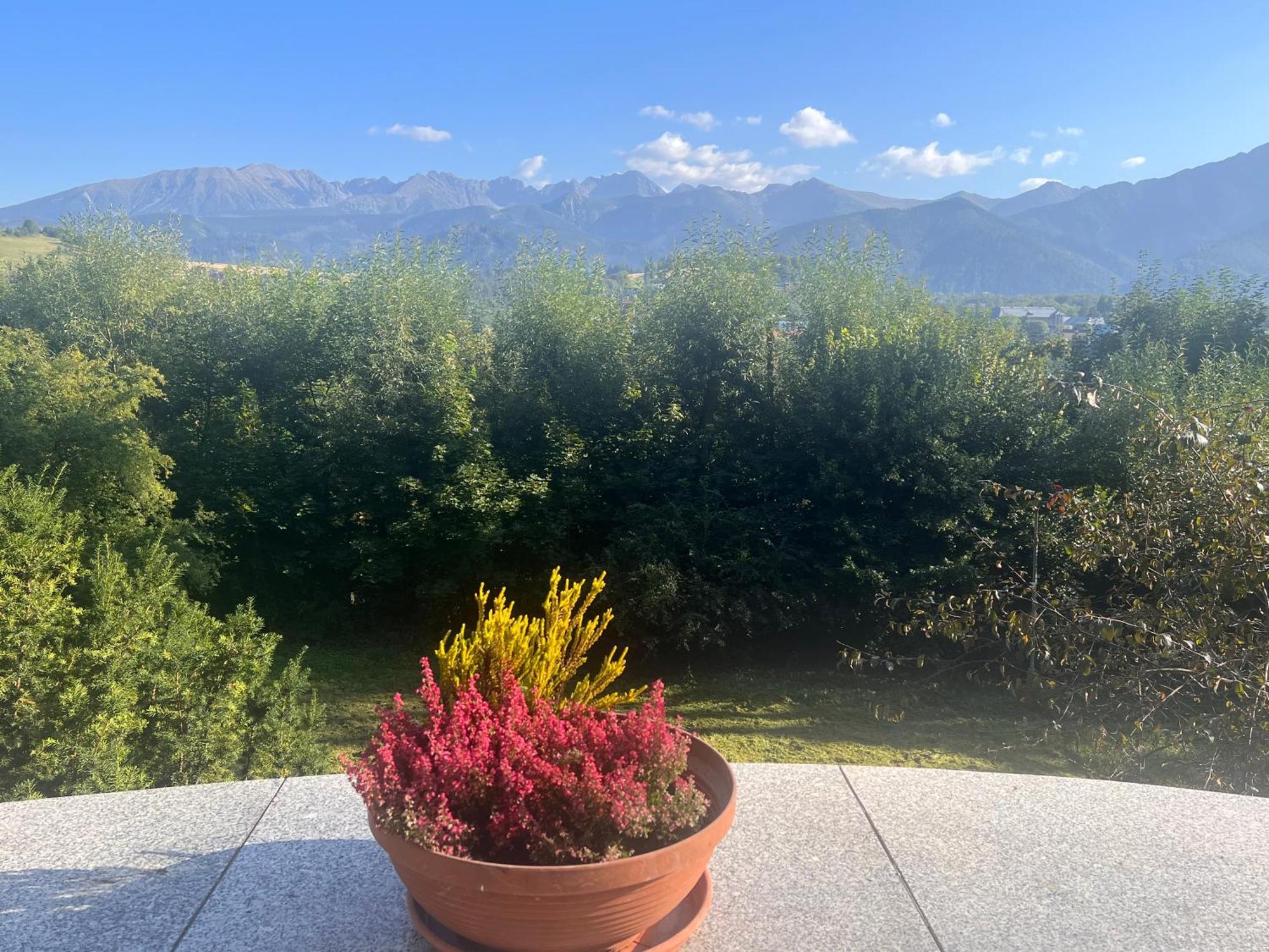 Nauczycielskie Centrum Zakopane Exteriör bild